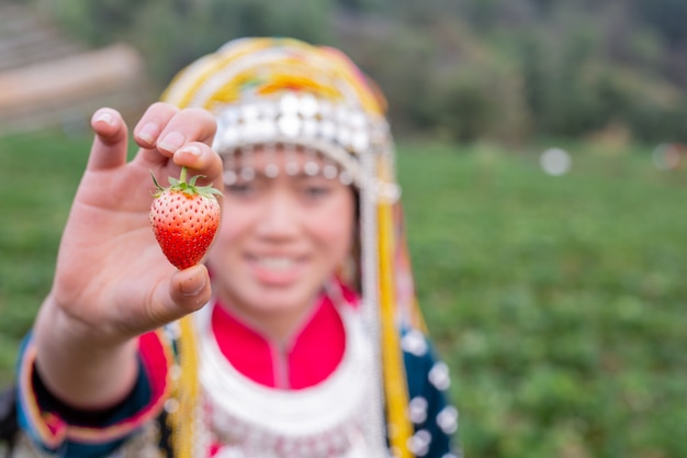 Tribal girls are collecting strawberries 