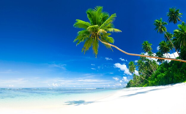 Tropical beach on Samoa