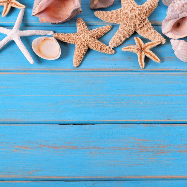 Tropical beach summer starfish background border