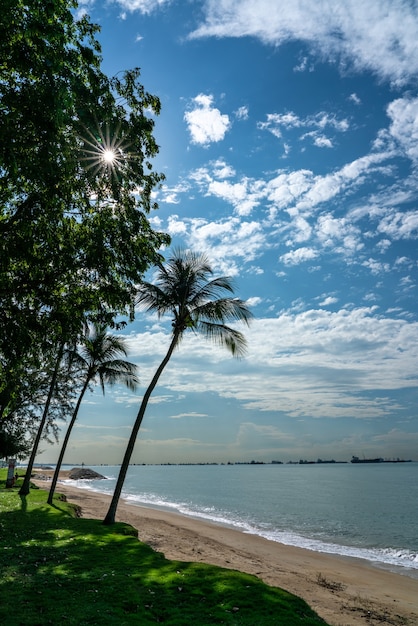 Тропический пляж в солнечный день. Парк Восточного побережья, Сингапур