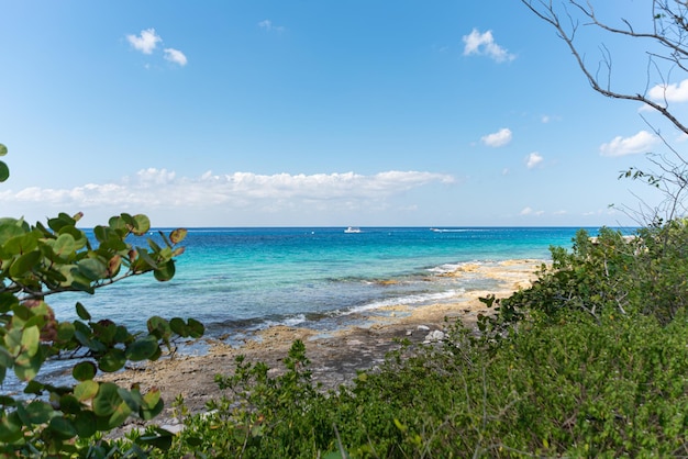 Free photo tropical beach on a sunny day