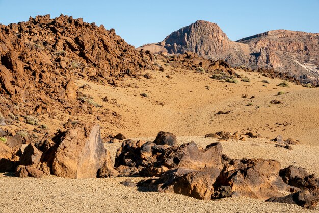岩と熱帯の砂漠