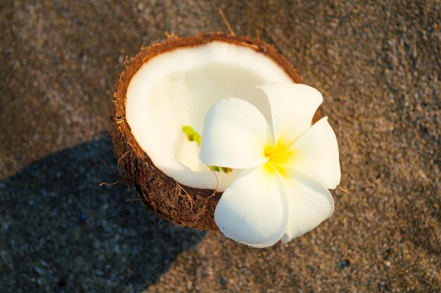 Tropical fresh open coconut dry decorated white plumeria on white beach