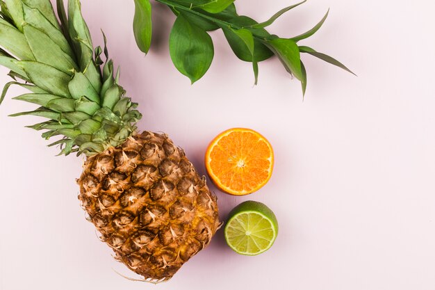 Tropical fruits and green foliage