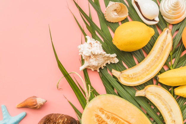 Foto gratuita frutti tropicali e conchiglie su foglie di palma