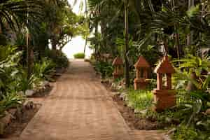 Free photo tropical garden and the road to sea beach