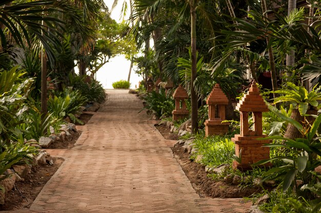 Tropical garden and the road to sea beach