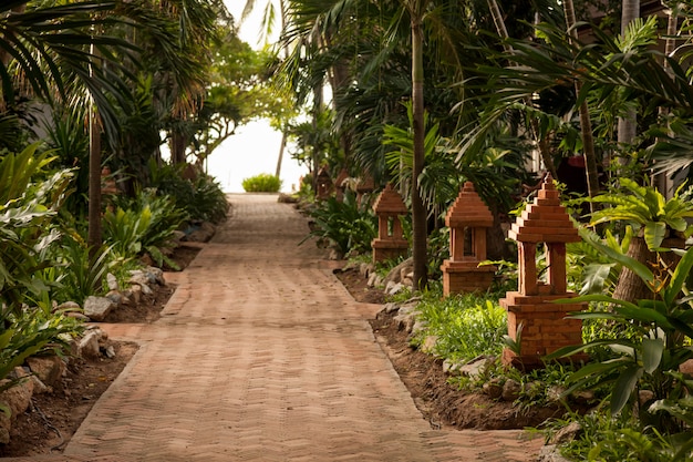 Tropical garden and the road to sea beach