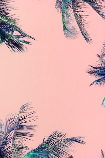 Бесплатное фото Тропические зеленые пальмовые листья на розовом фоне
