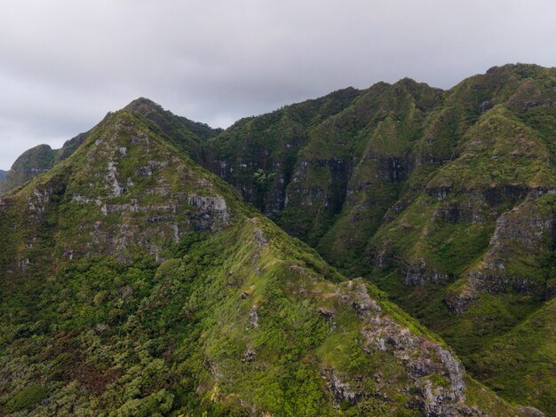 Tropical hawaii landscape with mountain view