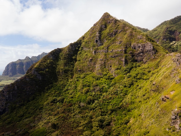 Foto gratuita paesaggio tropicale hawaii con vista sulle montagne