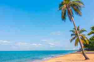 Free photo tropical landscape sand sky nature