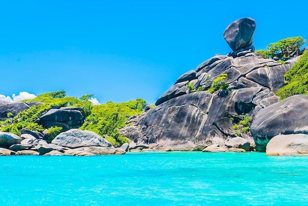 Tropical landscape with stones and vegetation