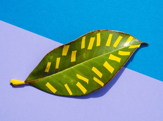 Tropical leaf in vibrant bold colour and yellow lines