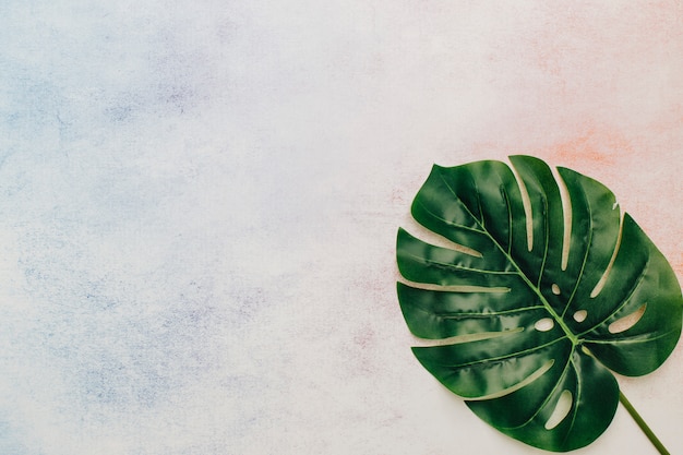 Tropical leaf with copy space in watercolor background