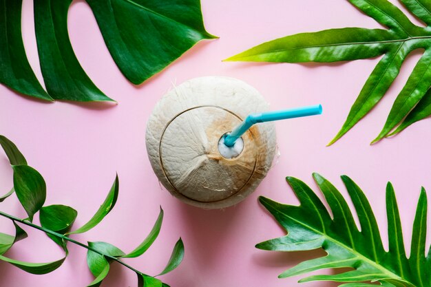 Tropical leaves on pink background