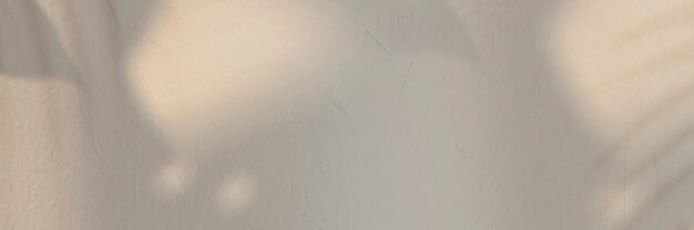 Tropical leaves shadow on a wall banner
