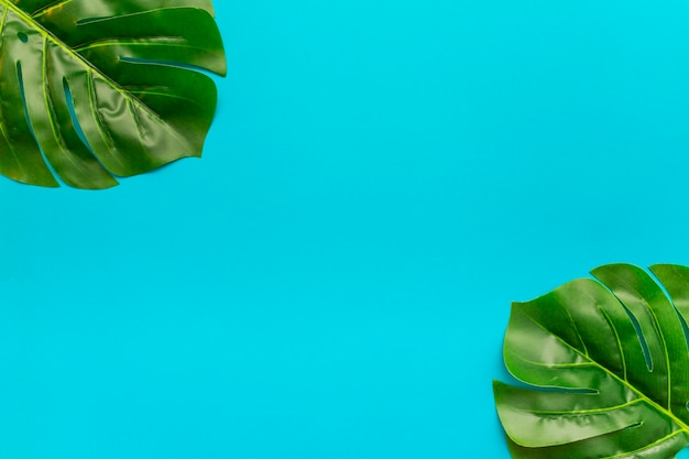 Tropical leaves with copy space in the middle