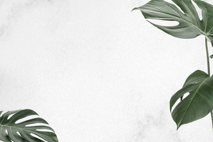 Free Photo tropical monstera leaf border frame leaf banner background