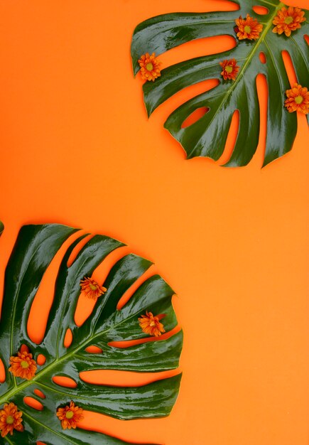 Тропический оранжевый фон