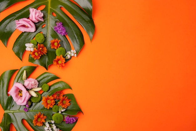 Tropical Orange Background