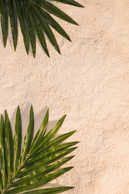 Tropical palm leaves on beach