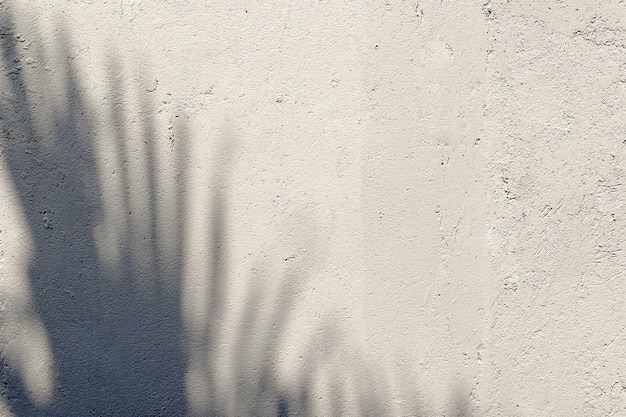 熱帯のヤシは、白い壁のテクスチャ背景に影を残します。夏の流行のコンセプト。