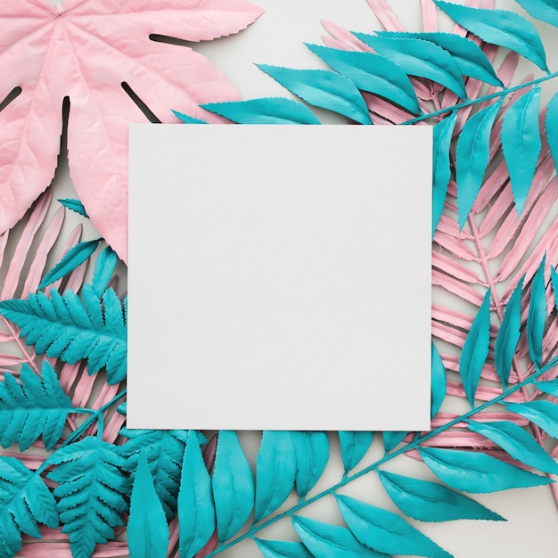 Free photo tropical palm leaves, white paper blank on white background