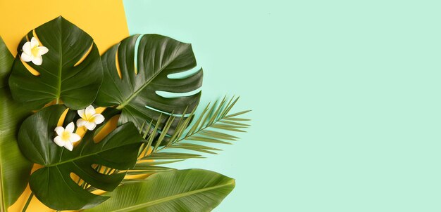 Tropical palm tree leaf and flower on a blue background Vibrant minimal fashion concept Design with copy space