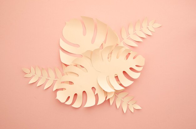 Free photo tropical pink monstera plants