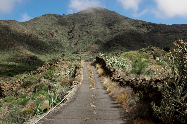 山の熱帯道路