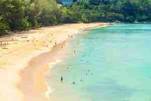 Foto gratuita spiaggia mare tropicale