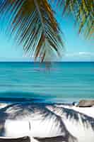 Бесплатное фото Тропический летний пляж с пальмовых листьев ветви моря и неба