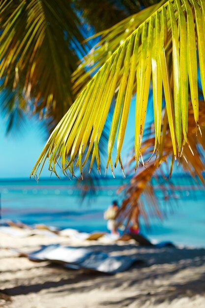 Tropical summer beach with palm leaf tree branch over sea and sky background