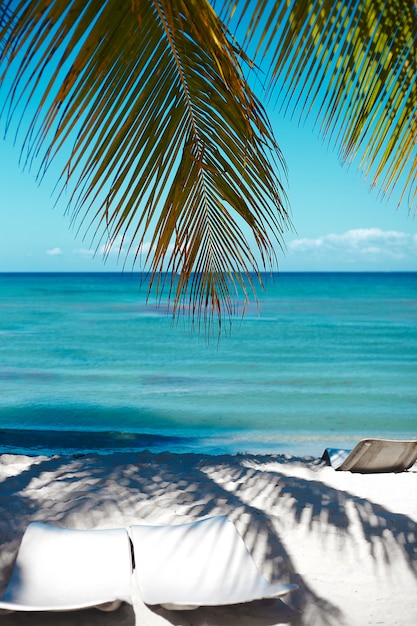 Tropical Summer Beach with Palm Leaf Tree Branch over Sea and Sky Background