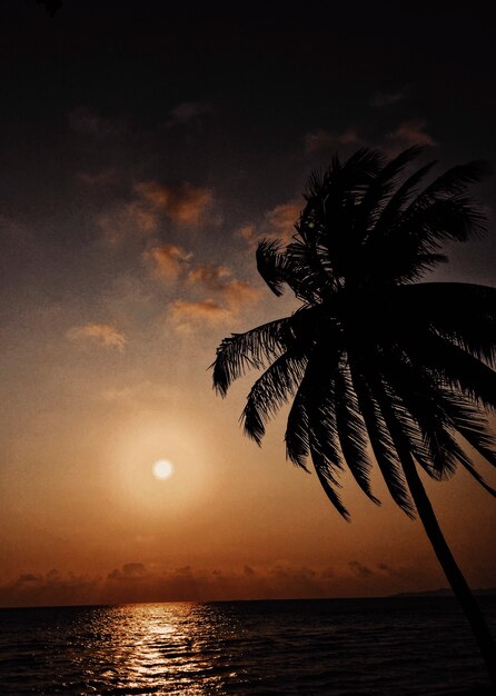 Tropical sunset scene