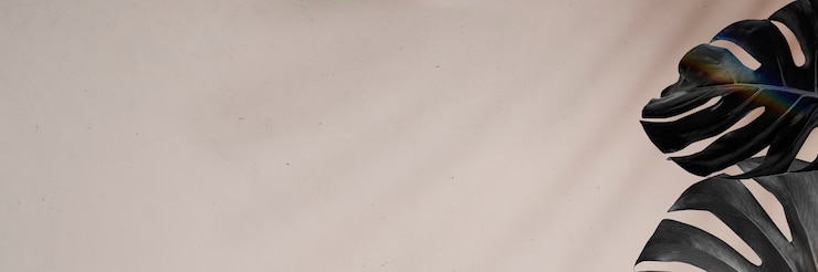 Free Photo tropical swiss cheese plant banner