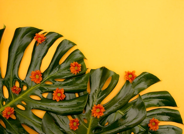 Tropical Yellow Background