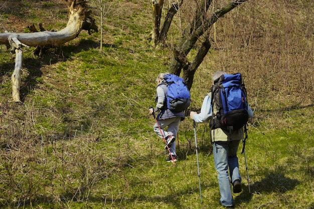 Foto gratuita il vero amore dà forza. coppia di famiglia invecchiato dell'uomo e della donna in abito turistico che cammina al prato verde vicino agli alberi in una giornata di sole. concetto di turismo, stile di vita sano, relax e solidarietà.