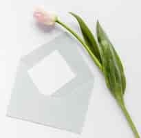Free photo tulip beside wedding card