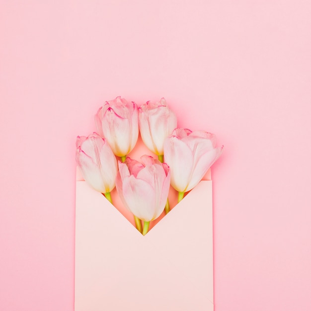 Foto gratuita fiori di tulipano in busta sul tavolo