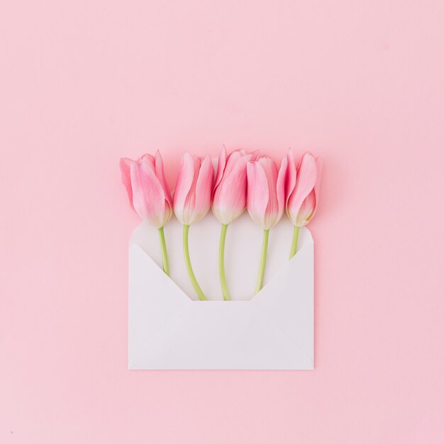 Tulip flowers in envelope on table