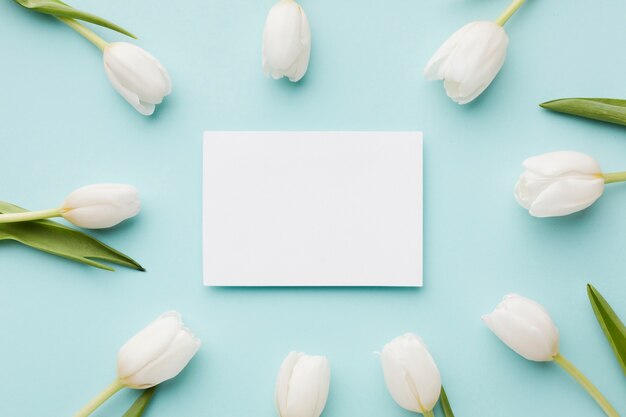 チューリップの花と葉の配置と空の白いカード