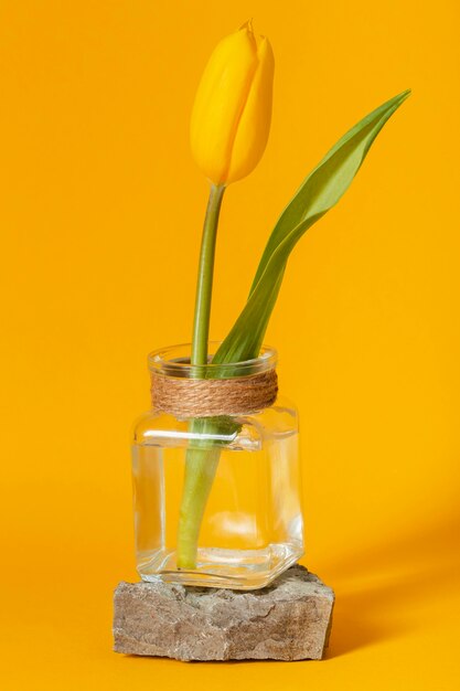 黄色に分離された透明な花瓶のチューリップ