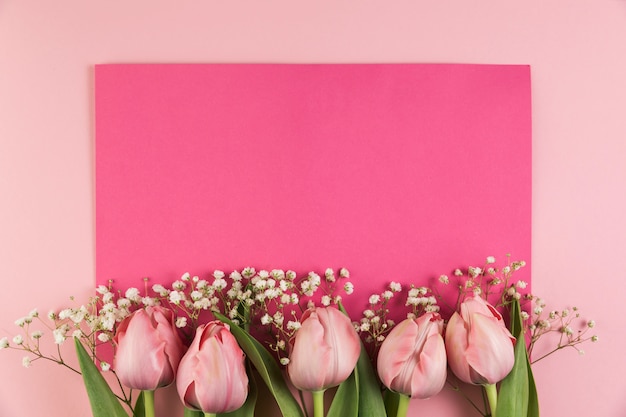 Тюльпаны и гипсофилы на розовом фоне