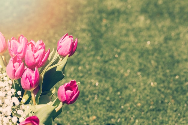 Foto gratuita mazzo di tulipani all'aperto