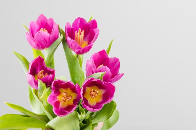 Foto gratuita bouquet di tulipani