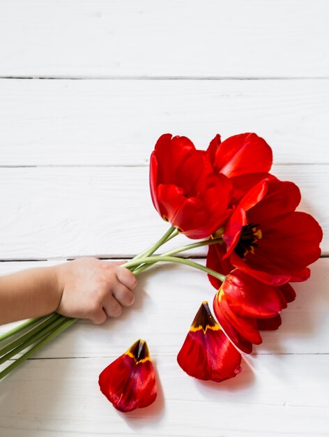 tulips in the hands of a child