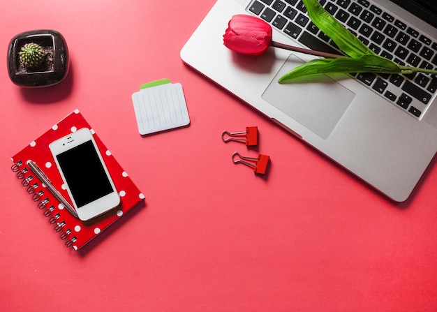Тюльпаны на ноутбуке; Кактус и канцелярские принадлежности со смартфоном на красном фоне
