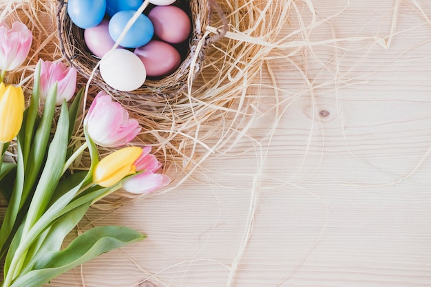 Tulips near eggs on hay